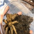 준성유통 이미지