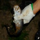 태공낚시 이미지