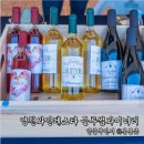 영천와인페스타 가을축제 지구마을산책 블루썸와이너리 후기