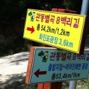 길 하나에 이름 8개,걷기여행길 판치는 대한민국 전국 538개 국내 트레일 안내 이미지