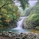 2026년 8월 9일 272차 정기산행 &amp; 야유회 이미지