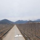 조정현농장 이미지