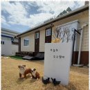 주문진스테이 이미지