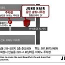 솔빛헤어 - 달서구 | 솔빛헤어