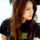 손담비/문지은 제2의 이효리? 언플의 끝은어디인가? 이미지