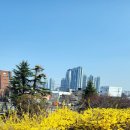 수성랜드 이미지