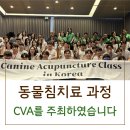 VIP동물한방재활의학센터by.Dr.신사경 이미지