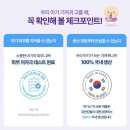 [기저귀 비교] 내돈내산 하기스 매직컴포트, 모모래빗 에코씽씽, 나비잠 울트라씬 썸머 기저귀 비교
