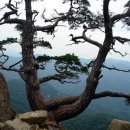 쌍곡폭포펜션 이미지