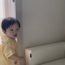 모이몰른 로디체크요루반팔상하 착용 후기