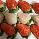 남양건기 | 웰하이여성아동병원 산후조리원 오션뷰 13박14일 후기 맘스케어마사지 가슴마사지 붓기경혈마사지 추천