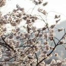 돌산공원 관광안내소 이미지