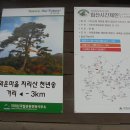 제95회 지리산 신선길(와운마을 천년송) 정기산행 이미지