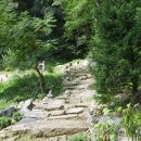 정심사입구 이미지