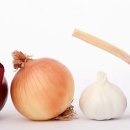 아이힐 동물병원 이미지