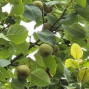 첨단LC타워 앞 이미지