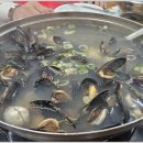 삼보집밥 | 천안 원성동 칼국수 맛집 물총칼국수 먹방후기
