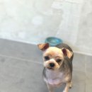 무드멍 이미지