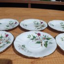 도그 블라썸 이미지