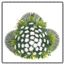 대우메디텍 이미지