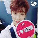 둥이 이미지