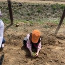 흙뿌리 농장 이미지