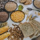 스타덤핏 이미지