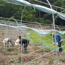 거산1리 이미지