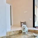 보느몽뜨 이미지