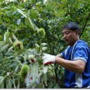 송죽농장 이미지