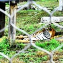 춘양농장 이미지