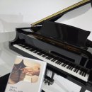 남부순환로317길 84 | <연주> 10월 26일 아리스타인아트홀에서 8피플리 연주회