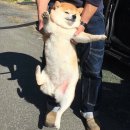 캘리그라피(취미) 이미지