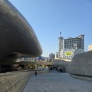 동남자원 | [러닝] 2026 서울마라톤 (동아마라톤) | 글로벌/엑스포 동마크루 활동 후기 @DDP