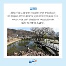 자연의하모니 이미지