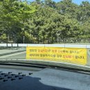 4530 | [울산] 동구 대왕암 오토캠핑장 오션뷰 사이트 및 차박 후기