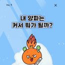 양파스토어