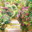 토지민박 이미지