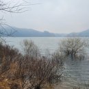 대천민물매운탕 | [대천여행지] 보령에 이런 곳이 있었다니? 이름값 하는 청천저수지 물색