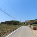 소금길 2코스 Daum카페
