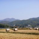 식현2리 이미지