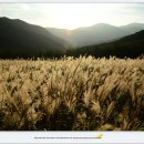 영남알프스 복합웰컴센터 이미지