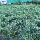 다락골농장 이미지