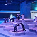 물속풍경수족관 | 일본 삿포로 아이랑 여행 실내코스 아오아오 아쿠아리움 수족관 티켓 예약 후기