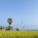 무지 게스트하우스 | [숙소후기] 기대이하 게스트하우스