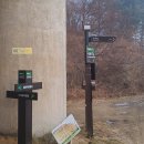 마정육교