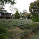 그레이스팜 이미지