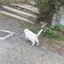 삼년산성송어장 이미지