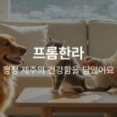 담은제주농업회사법인주식회사