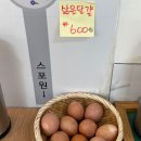 금정구 맛집 [손영환 비빔국수 칼국수] 내돈내먹